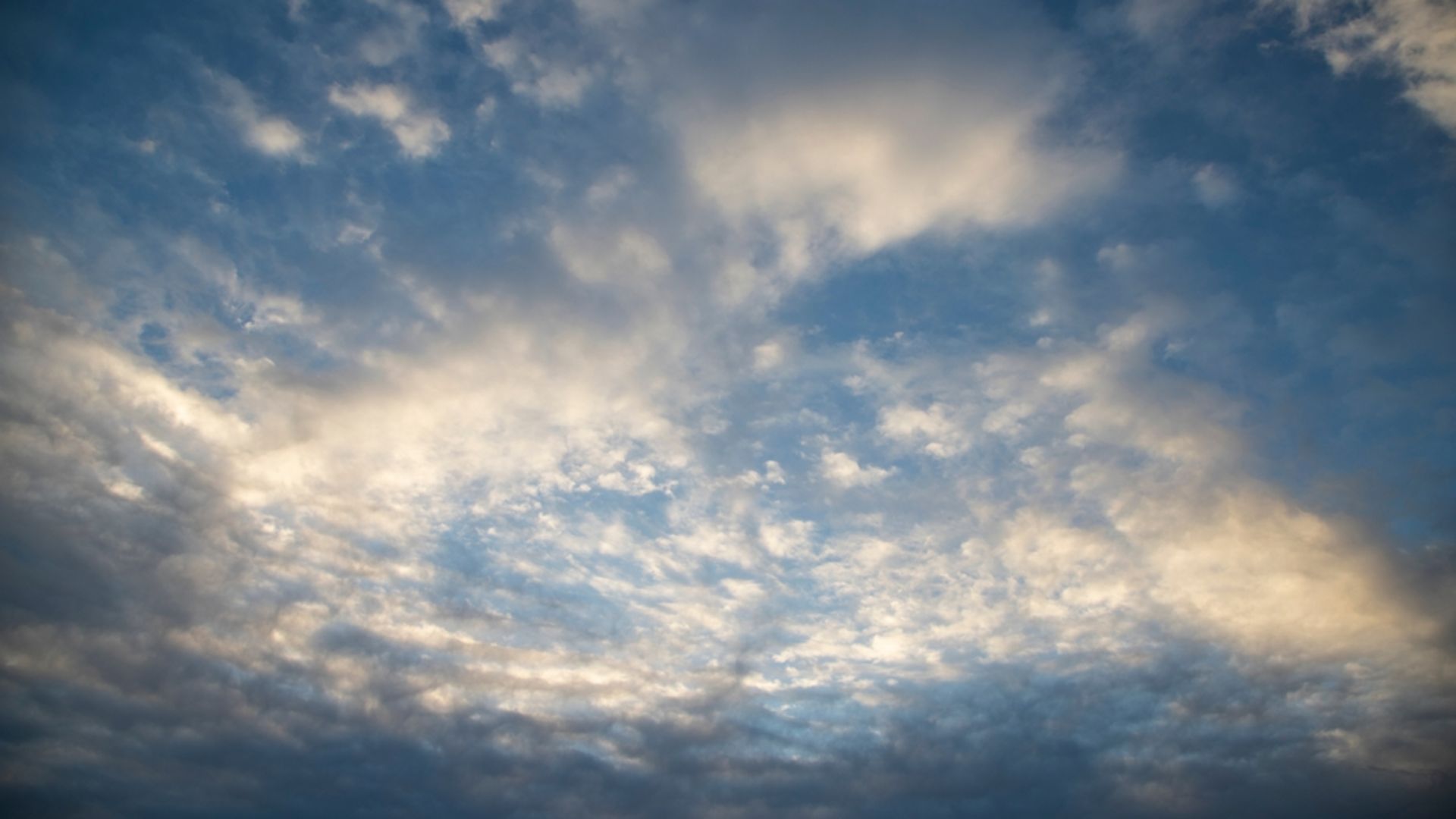 Düşüncelerinizi görmezden gelin