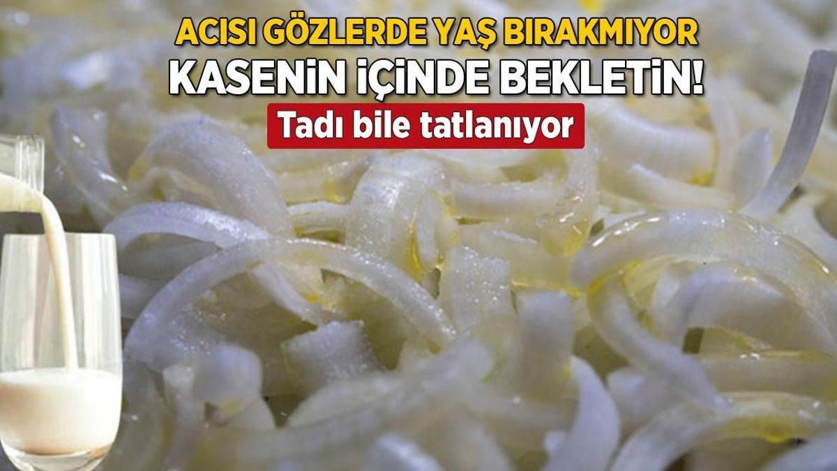 Soğanın keskin tadını alıp götürecek! Ne koku ne acılık kalıyor, sütlü lezzet sırrı