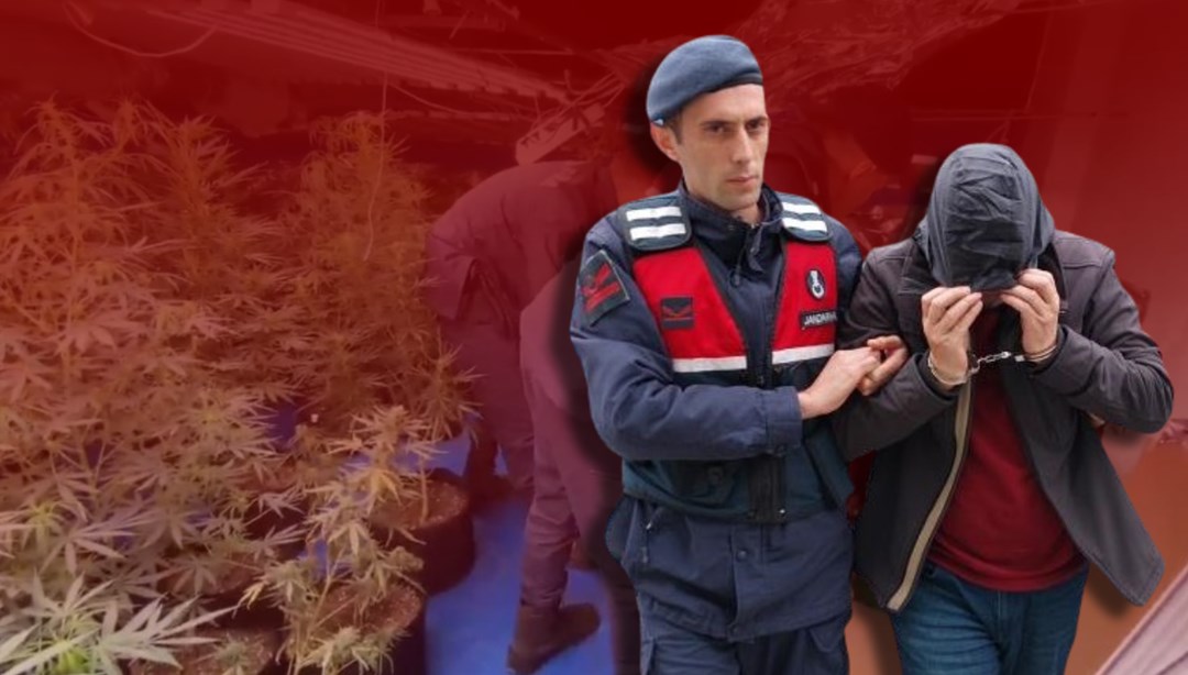 YouTube’dan izledi, evini uyuşturucu tarlasına çevirdi